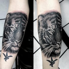 Tetování tygra