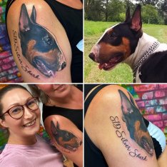 Realistické tetování portrét pes